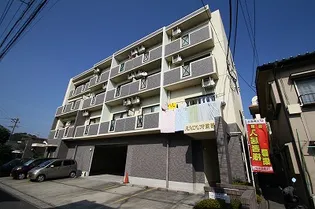 アムール戝部の画像