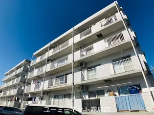 パストラールIIの画像