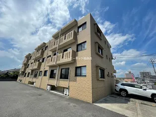 プリマベーラの画像