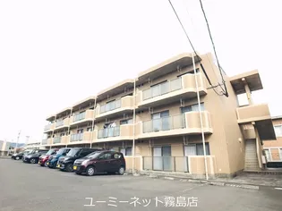 Y MコスモスIIの画像