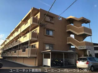 エスターテの画像