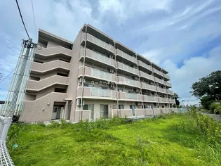 シャルム文化通の画像