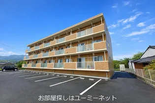 アムールレスペの画像