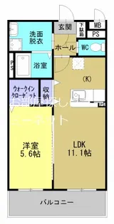 サラフォレスト中央【1階】の間取り