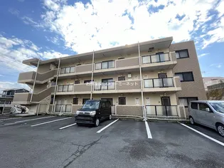 ユーミーひまわりの画像