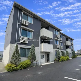 アルベラータⅡの画像