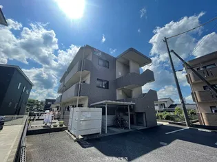 アネックスS Yの画像