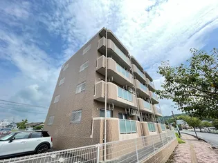 フェリーチェNの画像