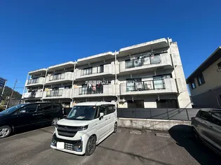 クリザンテームの画像