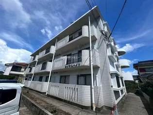 ロイヤルハイツ【301号室】の外観