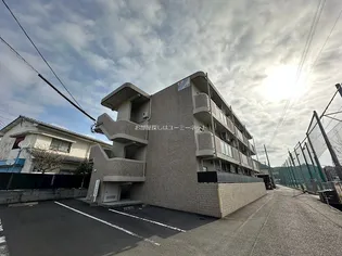 セルダム Rの画像