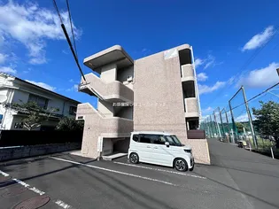 セルダム Rの画像