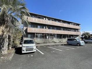 エクセラ21の画像