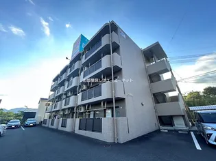 アマリリスの画像