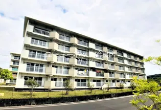 コーポ龍門1号棟【405号室】の外観