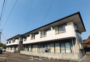 カミーリアアイラの画像