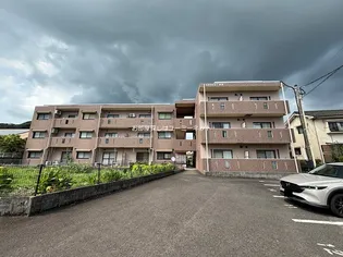 鹿児島県姶良市西餅田【マンション】の外観