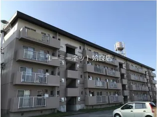 サルヴァトーレ吉原の画像