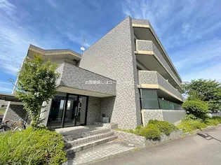 シズミハイツ【103号室】の間取り