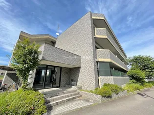 鹿児島県姶良市加治木町諏訪町【マンション】の外観