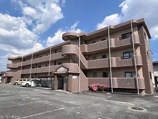 エクセレント皇英の画像