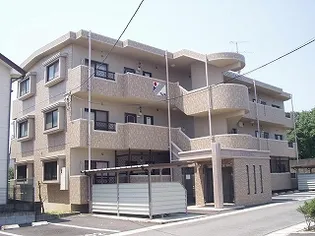 アイリステラモトIの画像