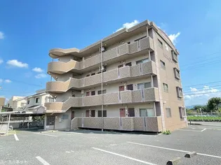 シャルムオヤマの画像
