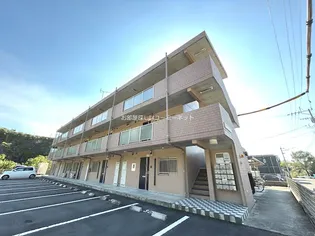 SUNNY FOREST Tの画像