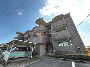 フローレンス吉野Iの画像