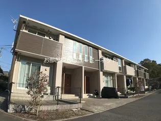 さくらの画像