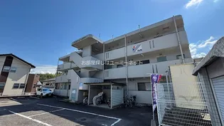 プレステージオガタマの画像
