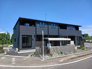 グレビレア Ⅱの画像