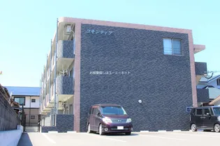 コキンティアの画像