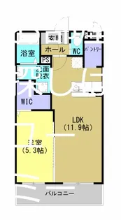 レジデンス平佐西通り【203号室】の間取り