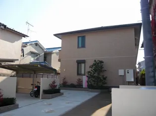 ミュルサンヌ桜の画像