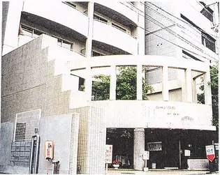 ヴォール ヴォランの画像