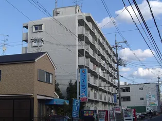 ザ メドゥズの画像