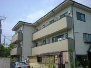 シェモア衣笠の画像