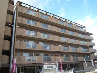 フレーヴァー七瀬川の画像