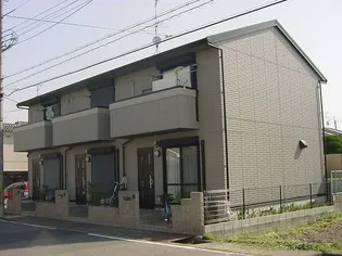 シェモアの画像