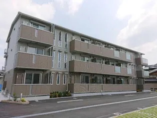 グラシア内畑の画像