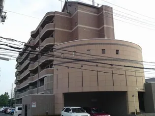 グレースナカミヤの画像