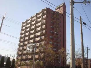 「グレイスヴィラ阿部」【9階】の外観