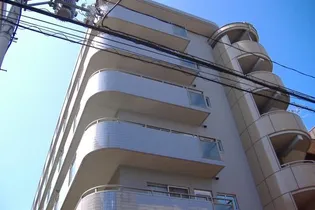 セノータの画像