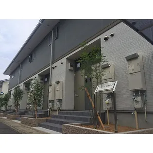 アムールTMMの画像