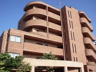 エクセル清涼の画像