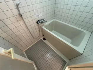 レシェンテ緑地【1階】の風呂