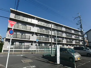 パティエールの画像