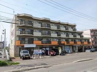 パスウェイ677壱番館【S302号室】の外観