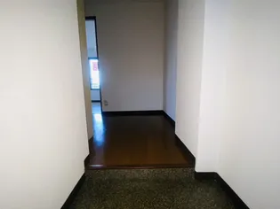 スターハウス【301号室】の玄関